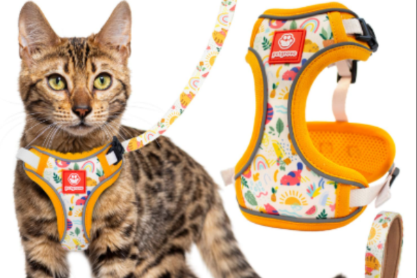 Untitled design (21)